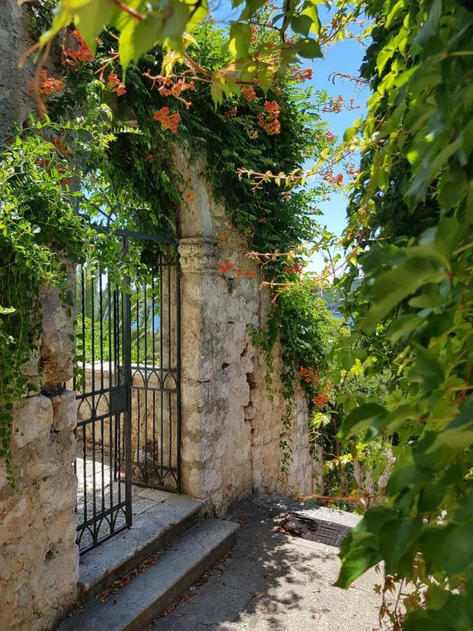 Villa Palmera Dubrovnik Extérieur photo