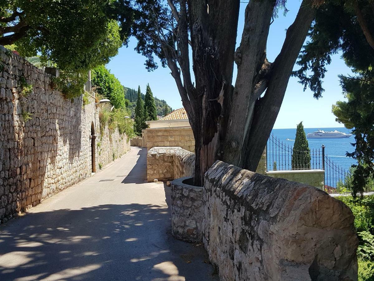 Villa Palmera Dubrovnik Extérieur photo