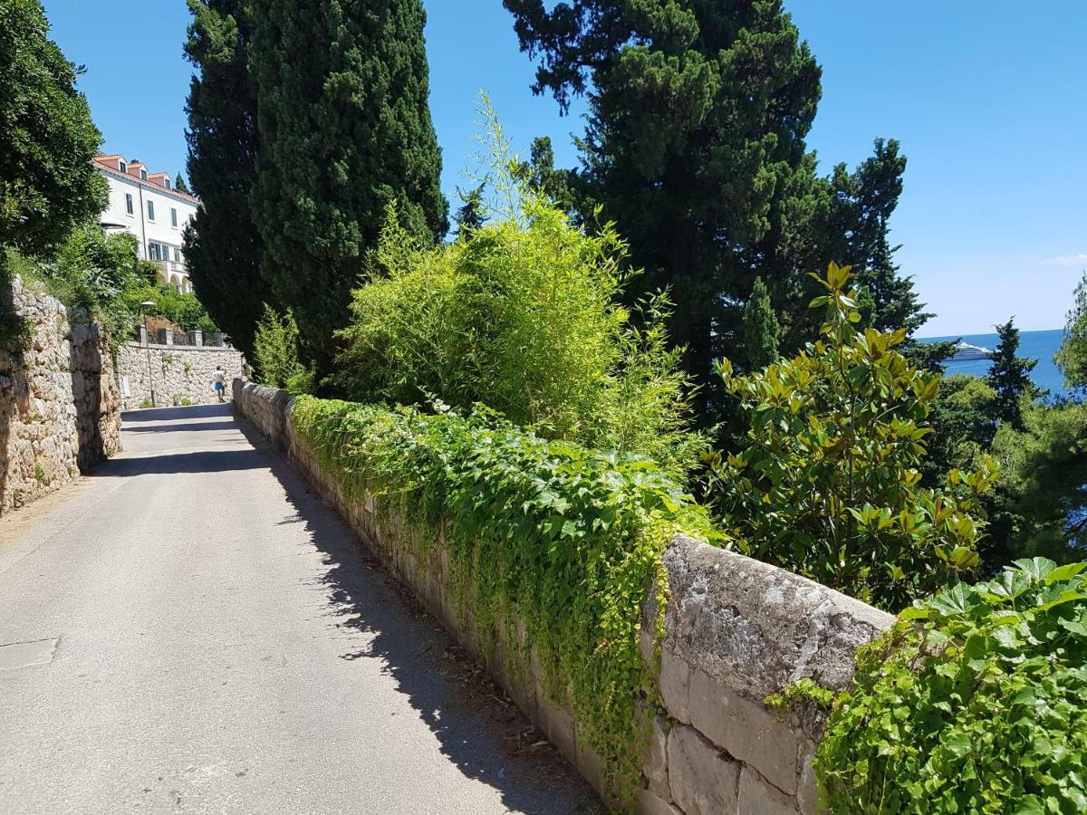 Villa Palmera Dubrovnik Extérieur photo