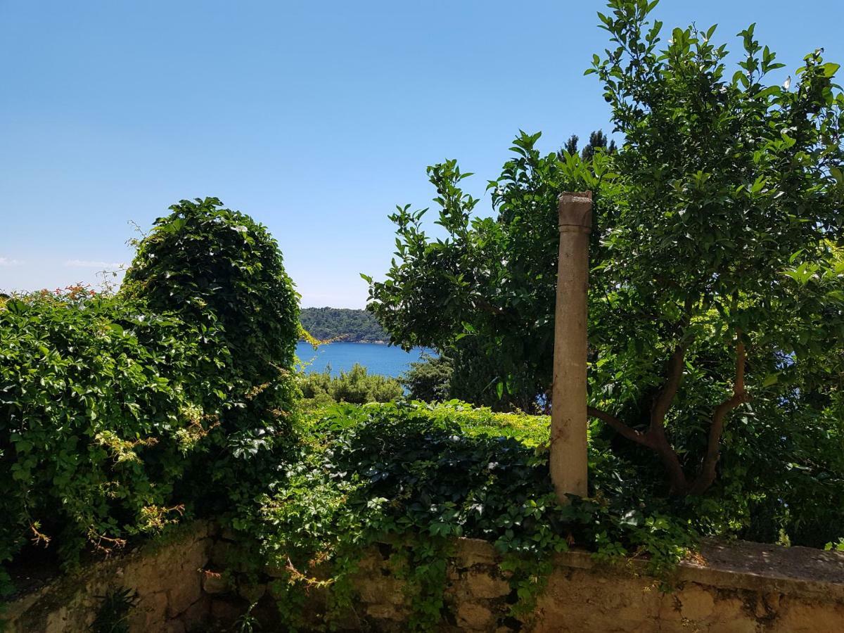 Villa Palmera Dubrovnik Extérieur photo